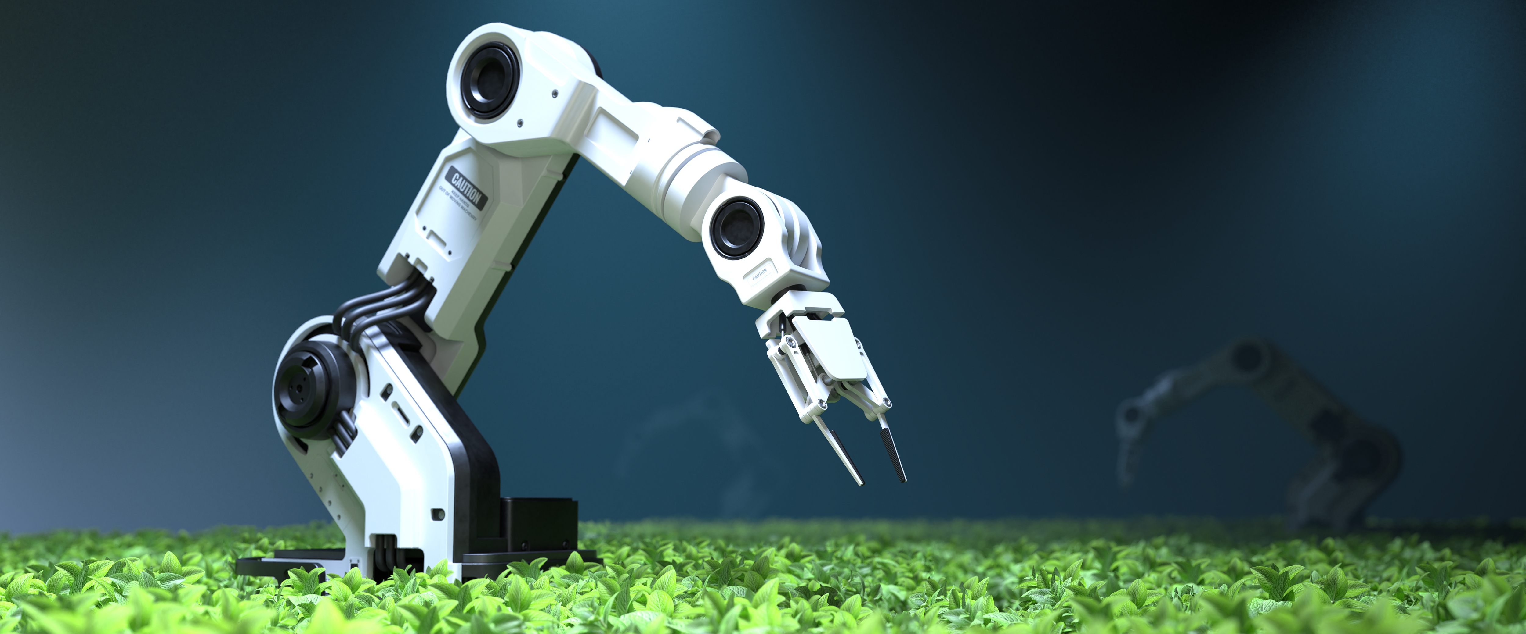small arm robot on grass